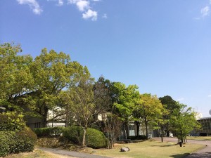 キャンパスの空-2
